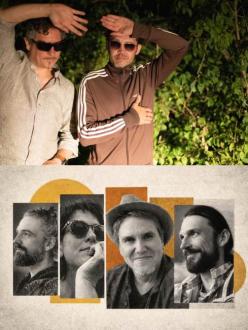 Waldrapp_Agga_Pony_Fotoweb